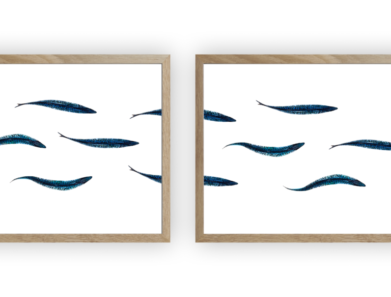 varek.illustrations - Triptyque : Les maquereaux vus du ciel
