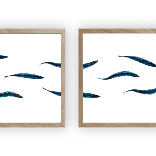 varek.illustrations - Triptyque : Les maquereaux vus du ciel