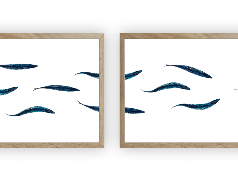 varek.illustrations - Triptyque : Les maquereaux vus du ciel