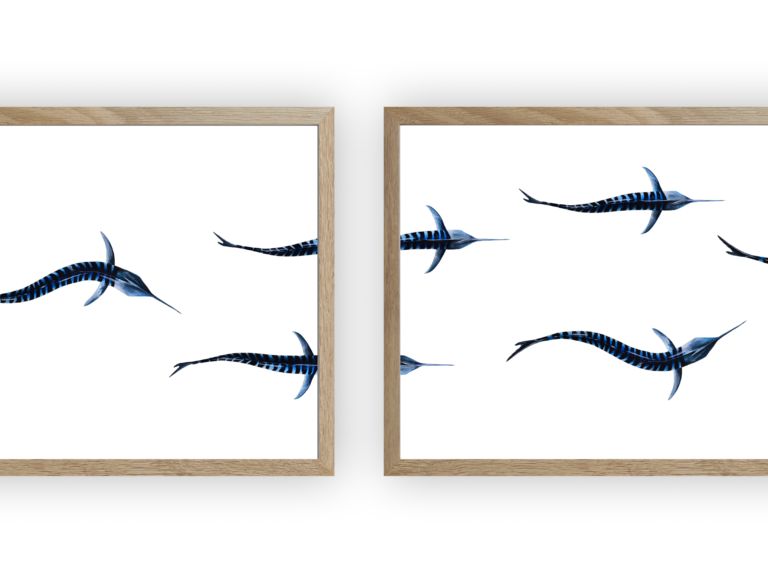varek.illustrations - Triptyque : Les marlins vus du ciel