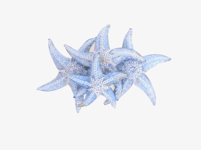 Ciléa Bijoux - Broche Ariel – Bleu pale