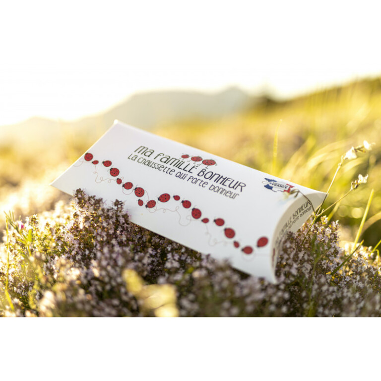 Chaussettes Coccinelle - Berlingot cadeau – Taille unique