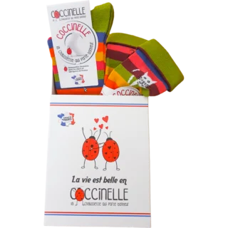 Chaussettes Coccinelle - Boite cadeau