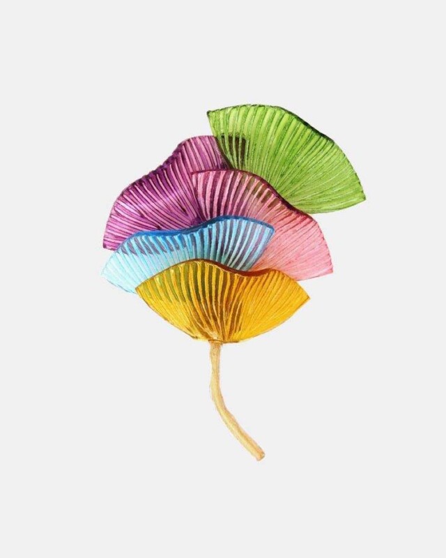 Ciléa Paris - Broche Ebisu