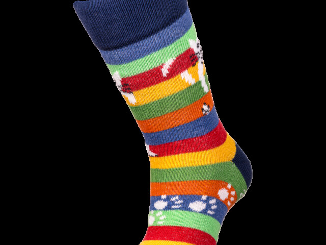 Multicolore rayé
