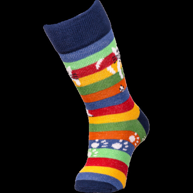 Chaussettes Coccinelle - Chat Perché – Version 2024