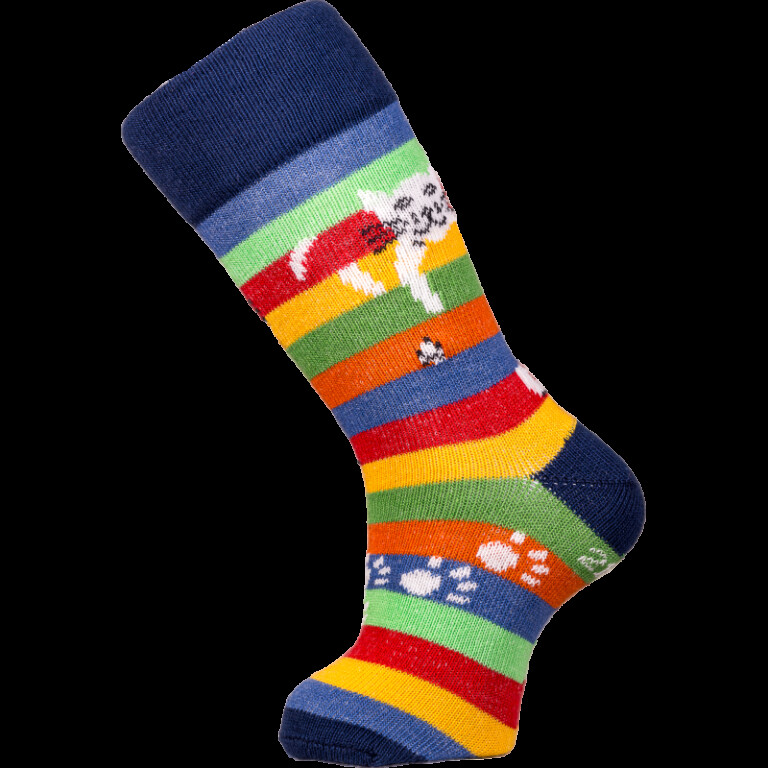 Chaussettes Coccinelle - Chat Perché - Version 2024 – 31/34