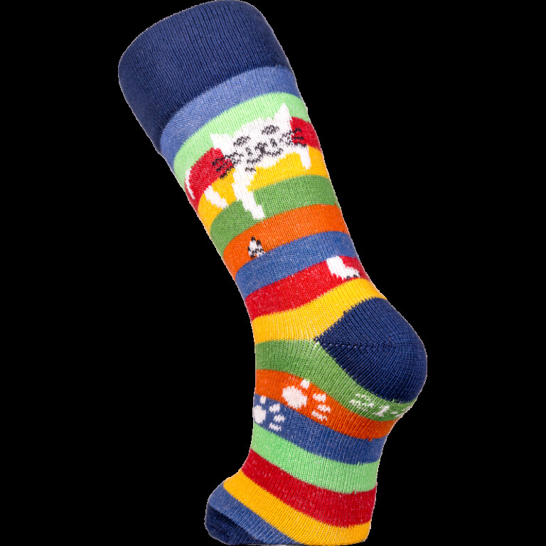 Multicolore rayé