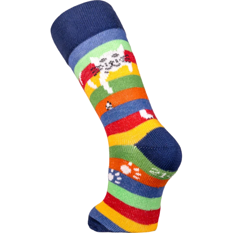 Multicolore rayé