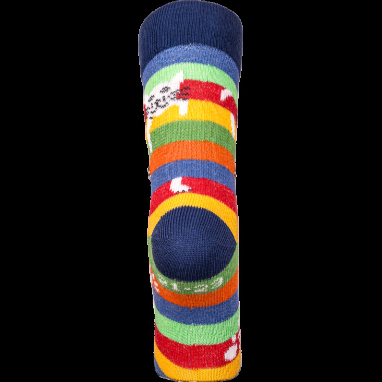 Chaussettes Coccinelle - Chat Perché - Version 2024 – 31/34