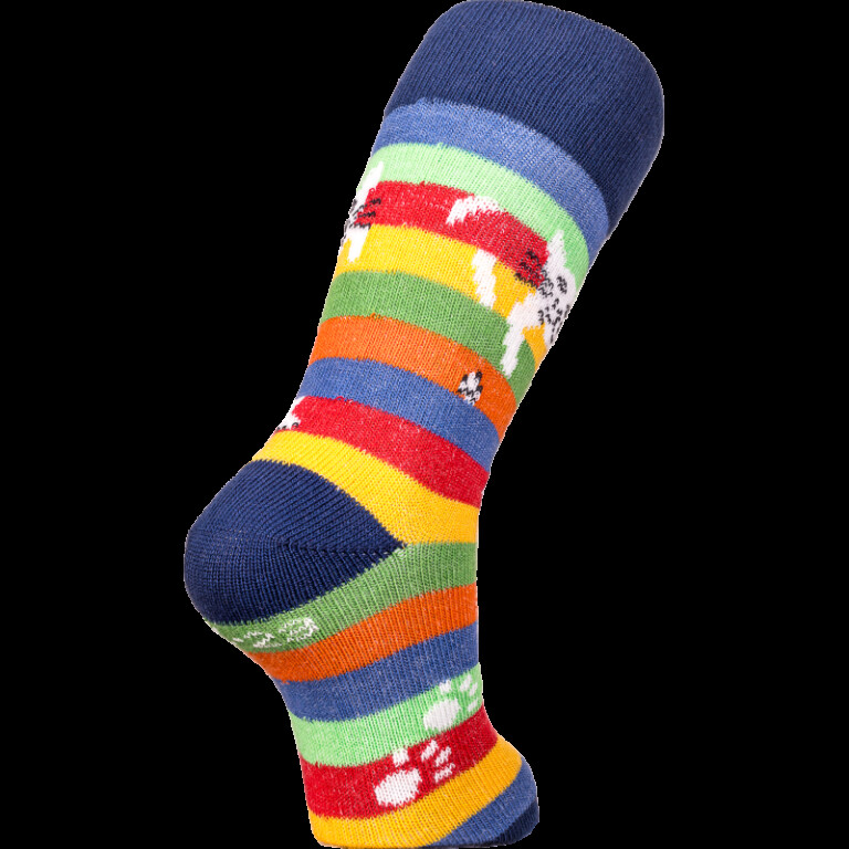 Multicolore rayé