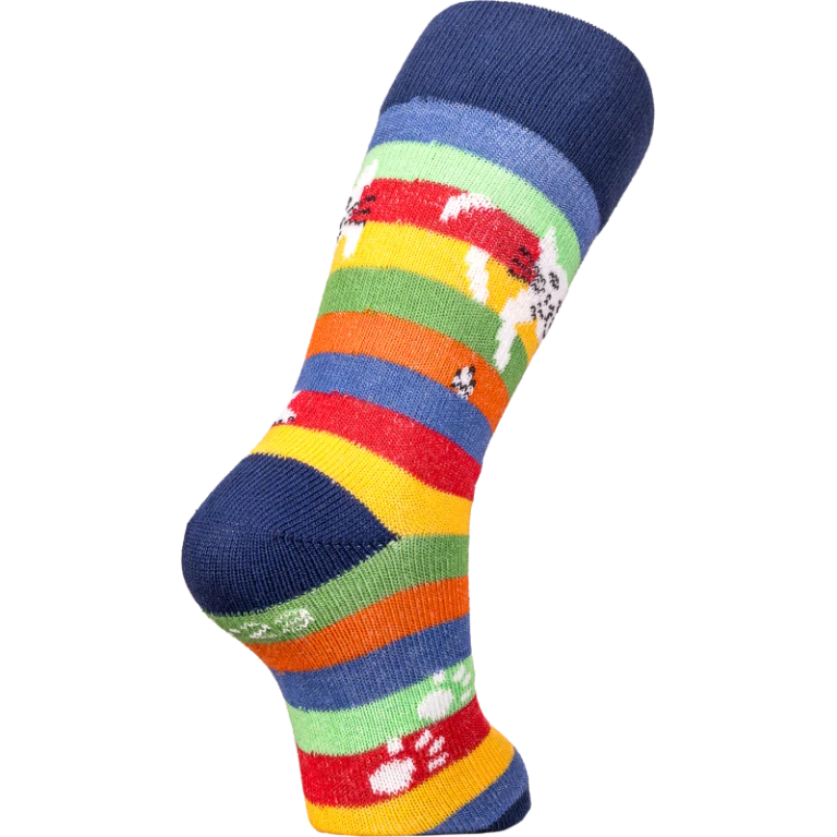 Multicolore rayé