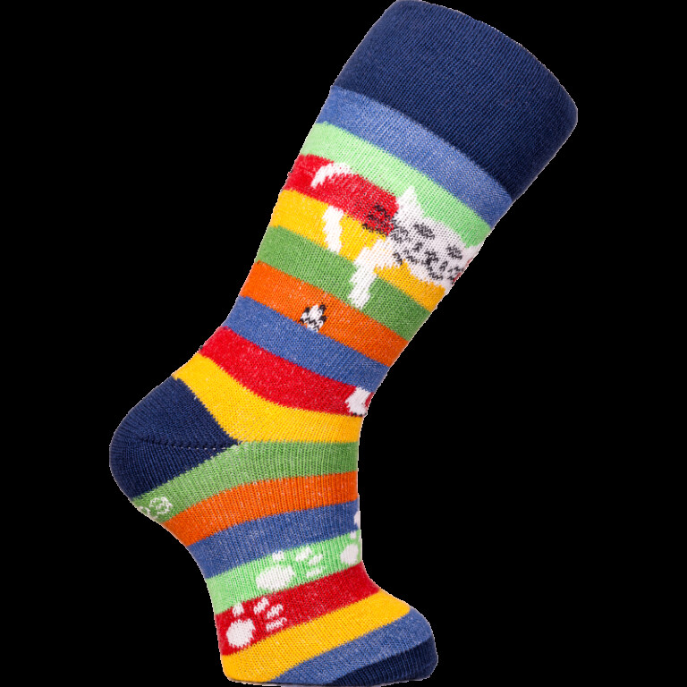 Chaussettes Coccinelle - Chat Perché - Version 2024 – 31/34