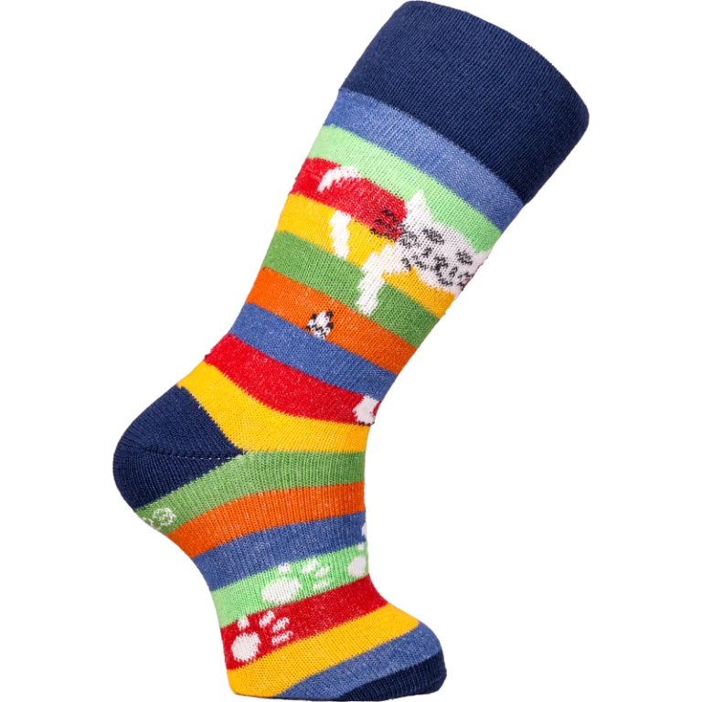 Chaussettes Coccinelle - Chat Perché - Version 2024 – 31/34
