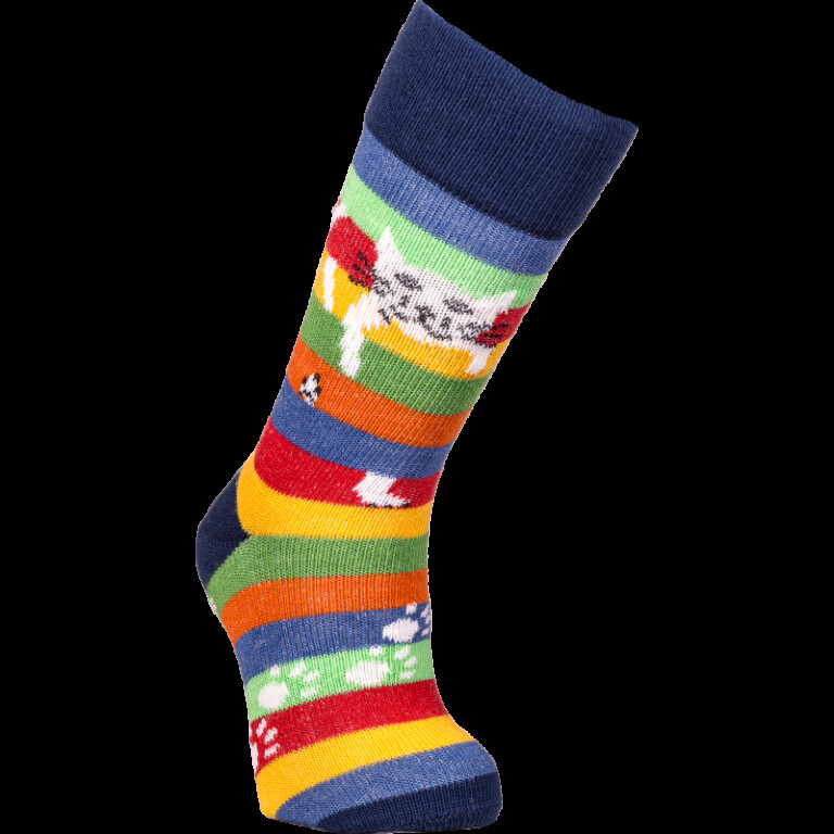Multicolore rayé