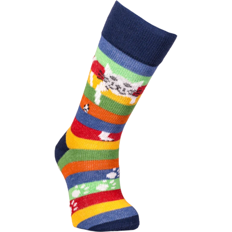 Multicolore rayé