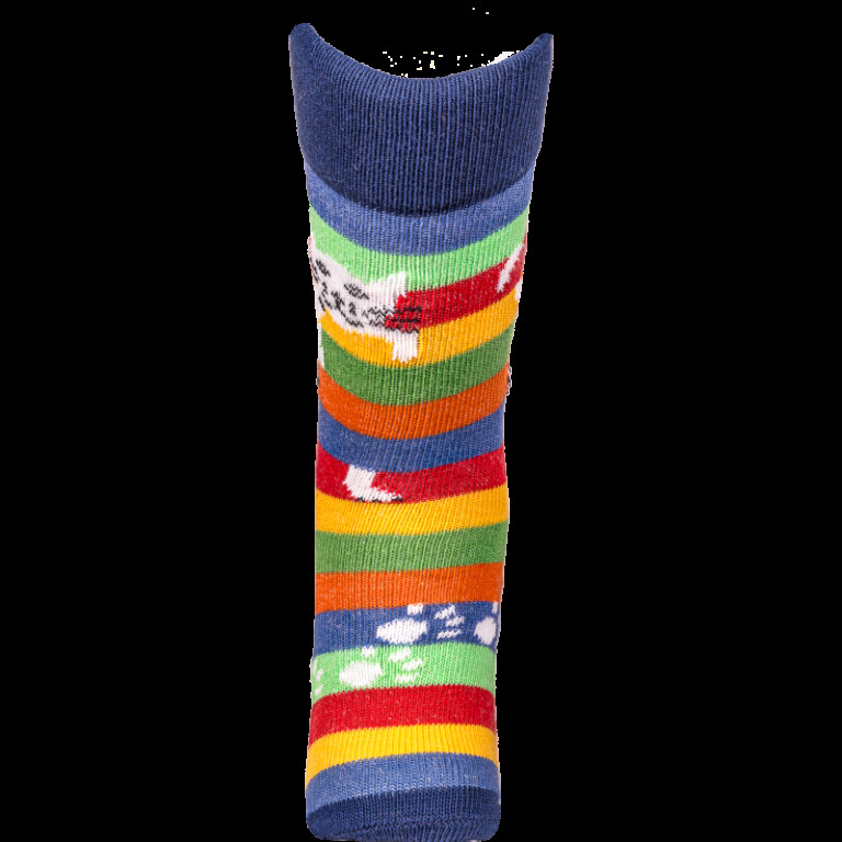 Chaussettes Coccinelle - Chat Perché - Version 2024 – 31/34