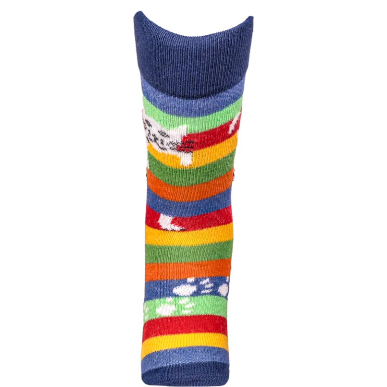 Chaussettes Coccinelle - Chat Perché - Version 2024 – 31/34
