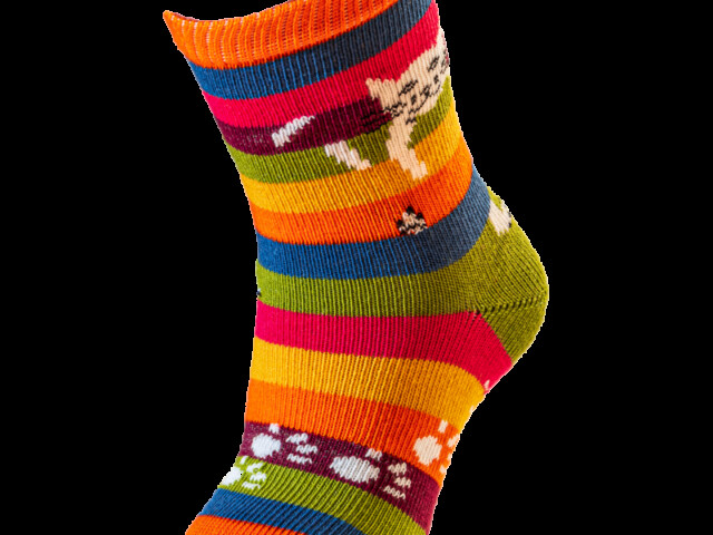 Multicolore rayé
