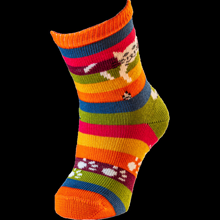 chat perche 45 Multicolore rayé