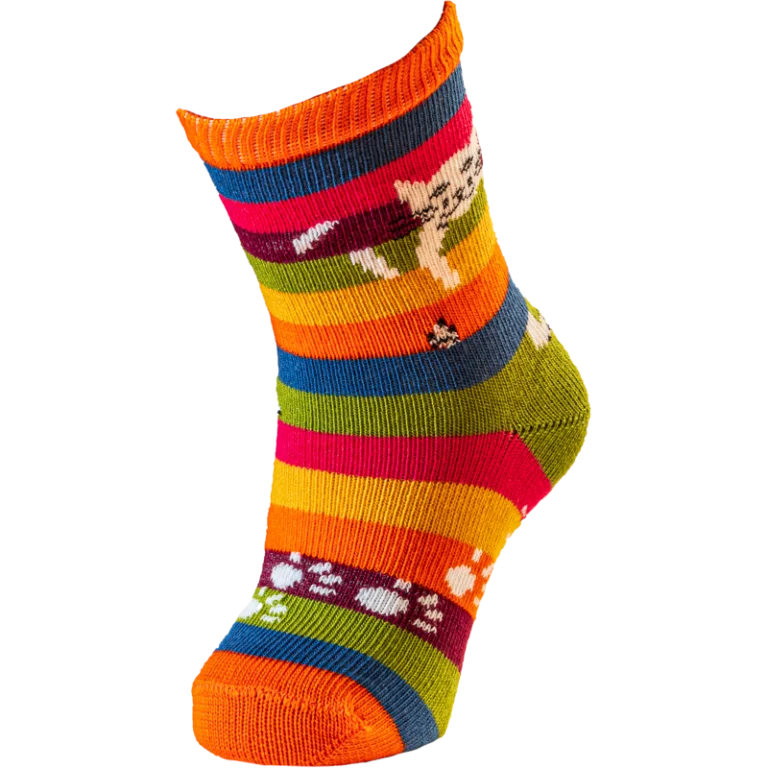chat perche 45 Multicolore rayé