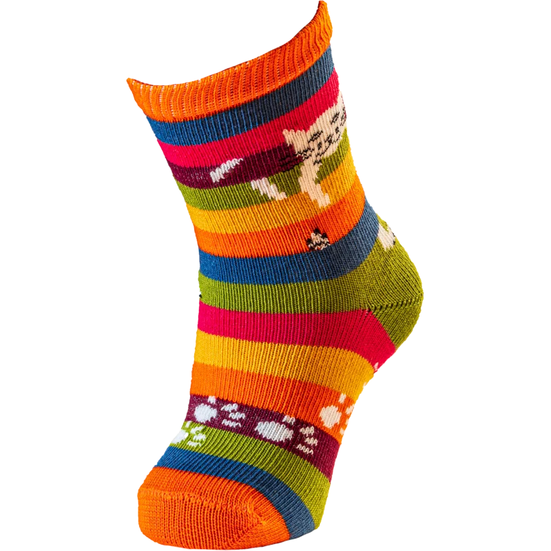 chat perche 45 Multicolore rayé