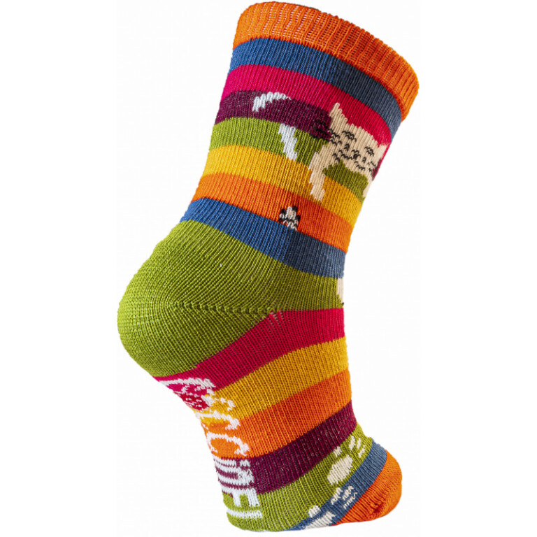 Multicolore rayé