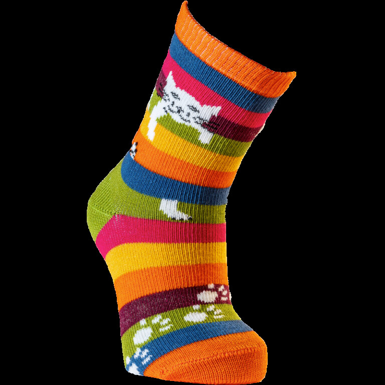 Multicolore rayé