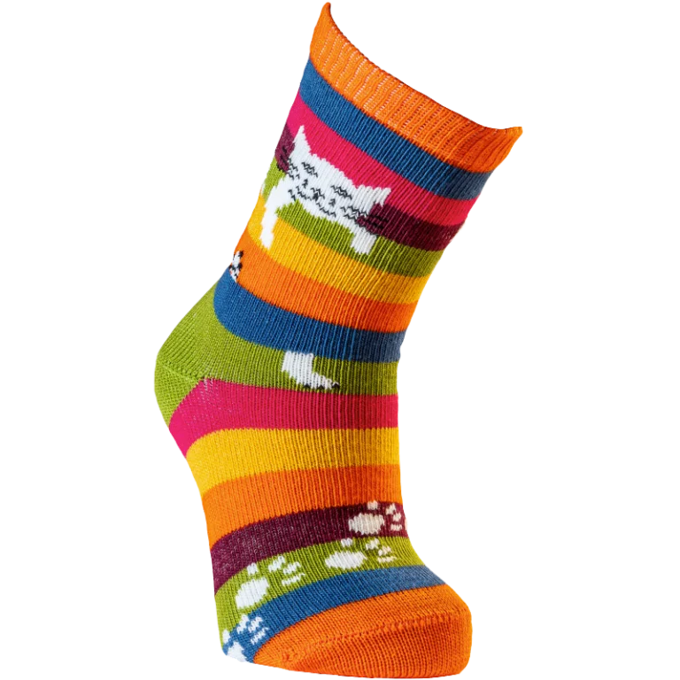 Multicolore rayé