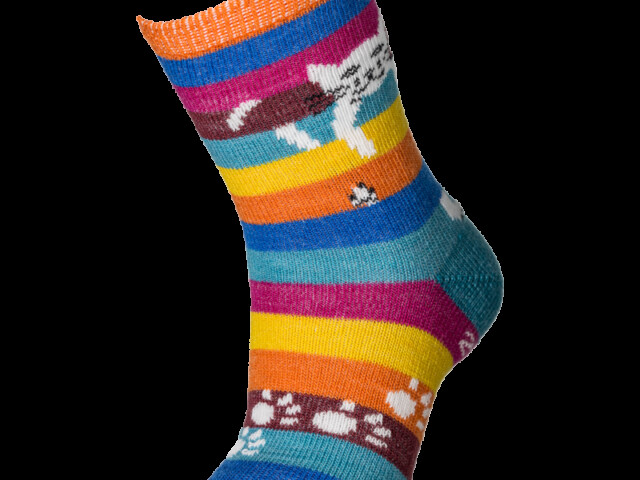 Multicolore rayé