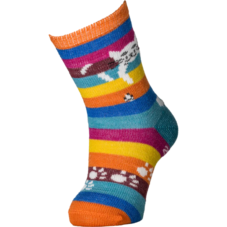 chat perche 53 Multicolore rayé