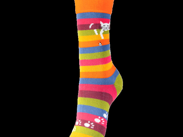 Multicolore rayé