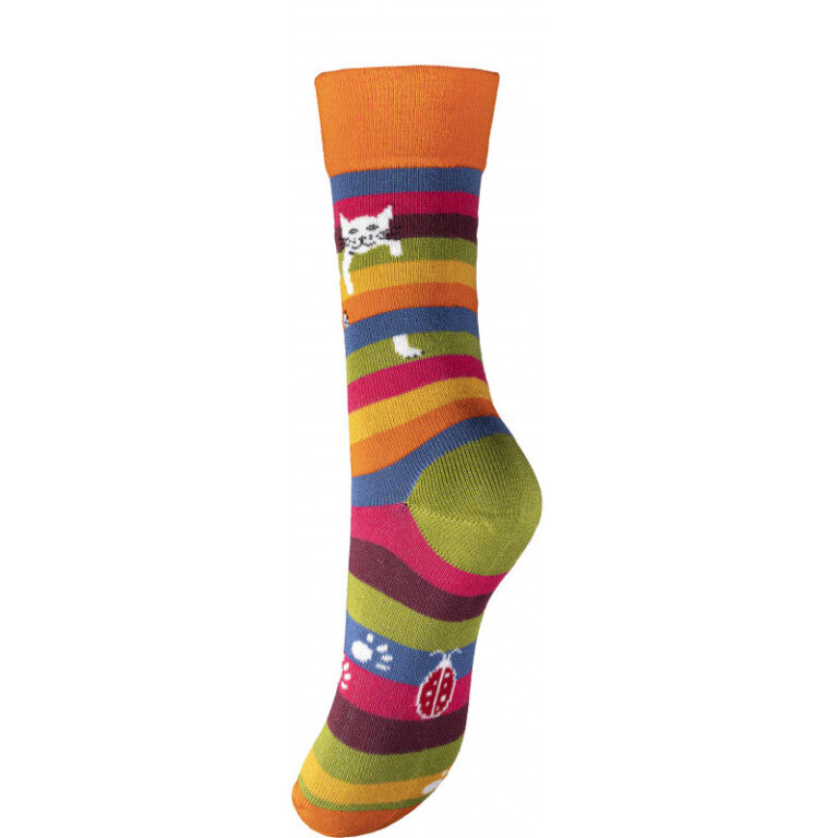 Multicolore rayé