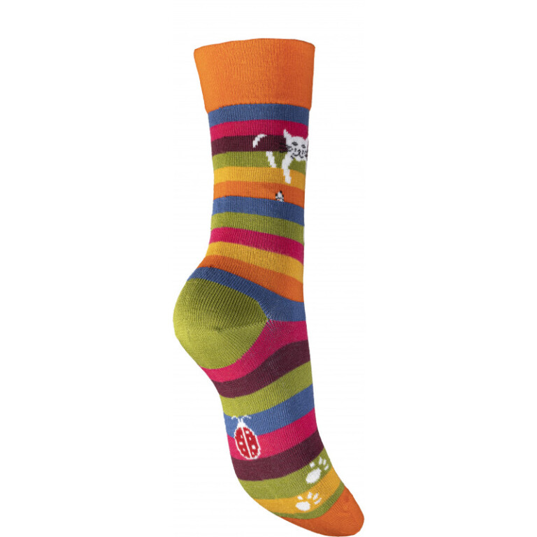 Multicolore rayé