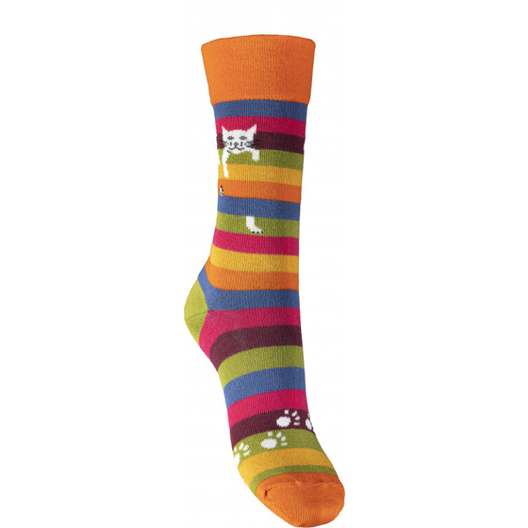 Multicolore rayé