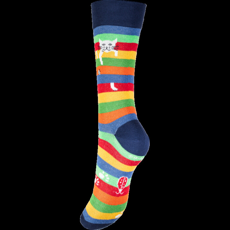 Multicolore rayé