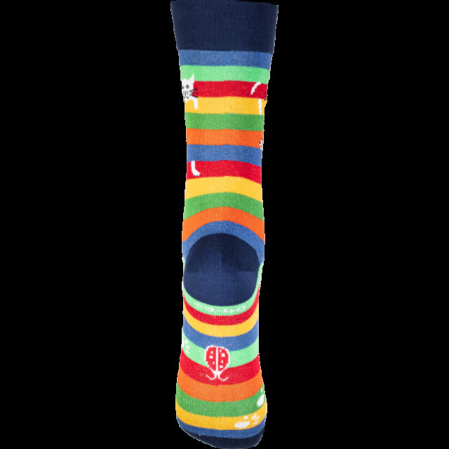Chaussettes Coccinelle - Chat Perché - Version 2024 – 45/46