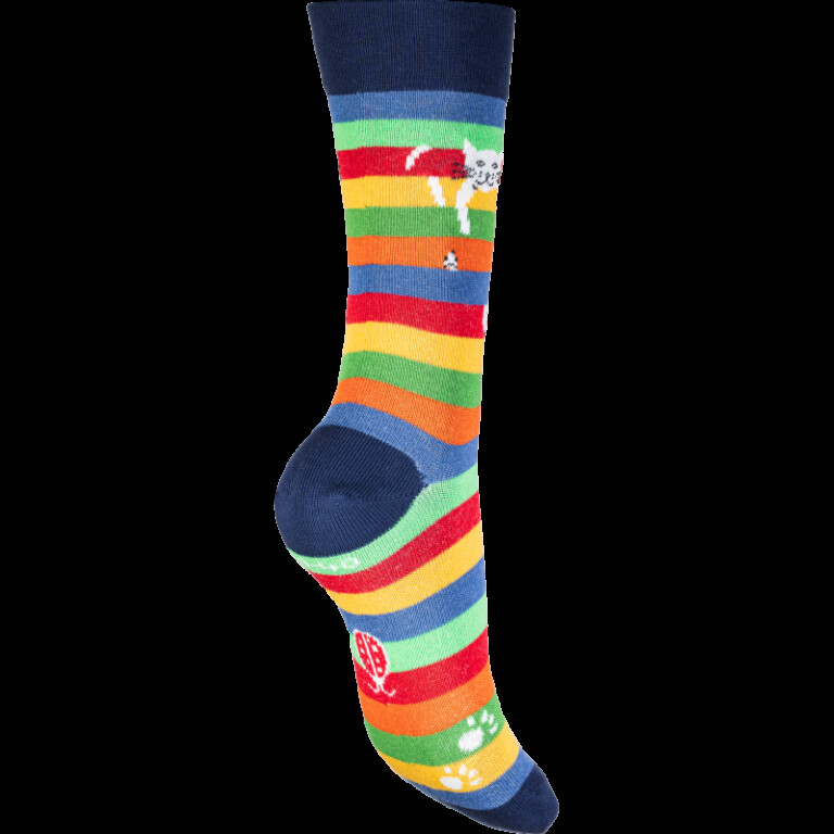 Multicolore rayé