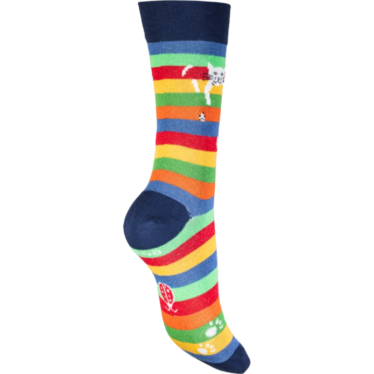 Multicolore rayé