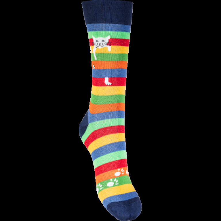 Multicolore rayé