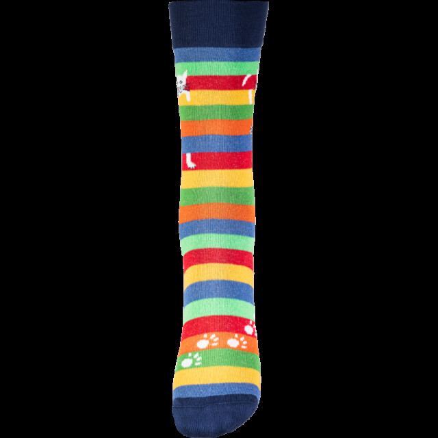 Chaussettes Coccinelle - Chat Perché - Version 2024 – 45/46