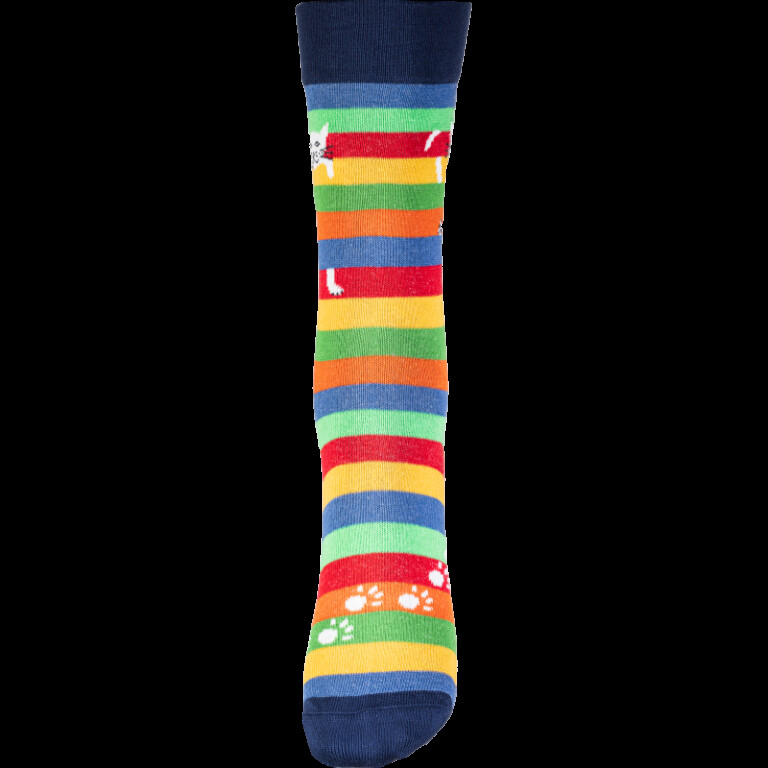 Chaussettes Coccinelle - Chat Perché - Version 2024 – 45/46