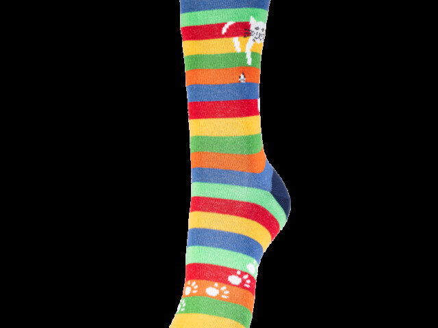 Multicolore rayé