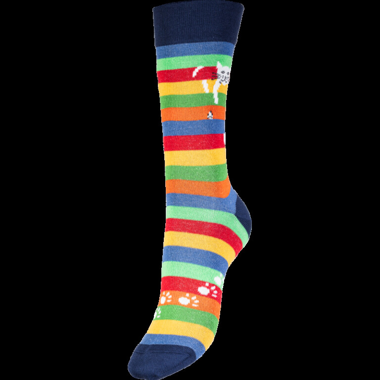 Multicolore rayé