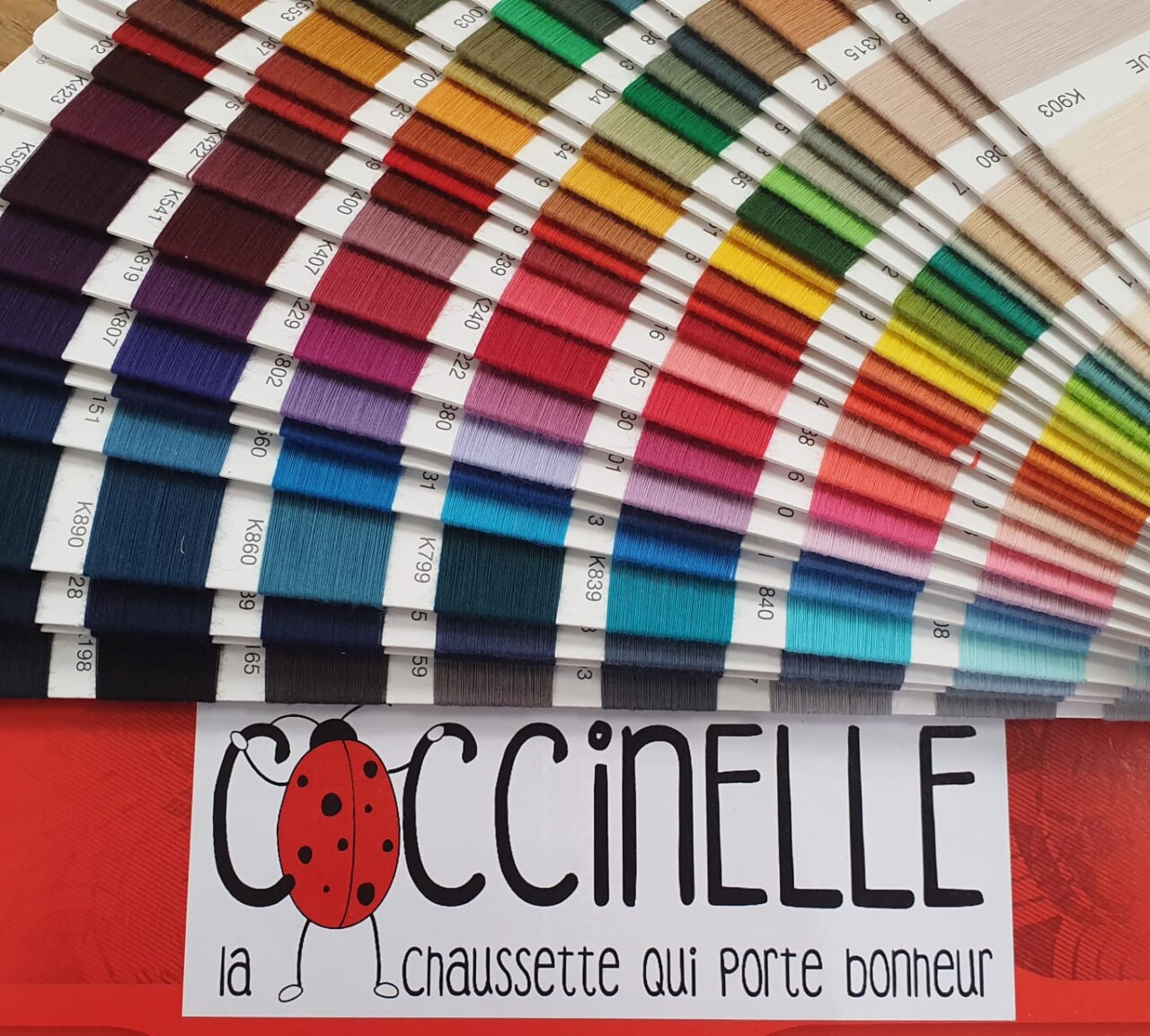 Chaussettes-coccinelles-nuanciers