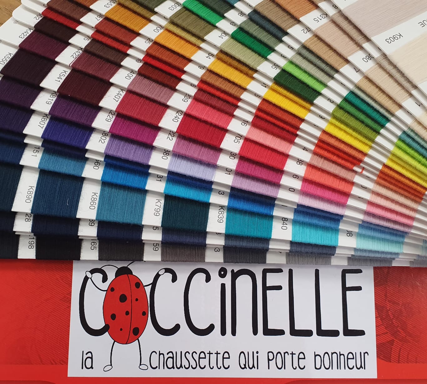 Chaussettes-coccinelles-nuanciers