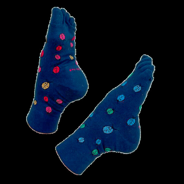 Chaussettes Coccinelle - Les Chockettes de la Coccinelle – 43/46