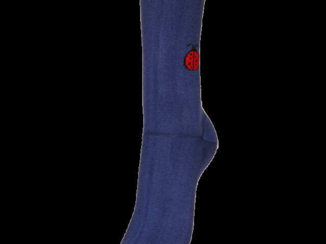 Bleu marine