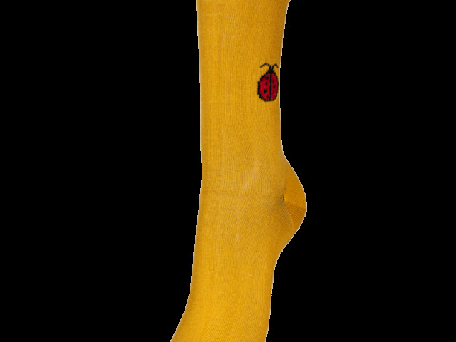 Vert