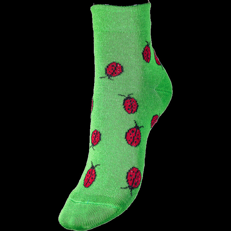 coccinelle demoiselle Vert